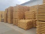 Posts and poles, debarked, machine rounded - photo 2