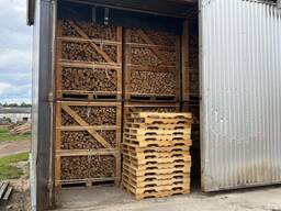 Premium Kiln Dried Birch Logs