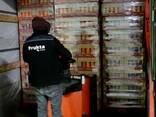 Pringles 165 - photo 1
