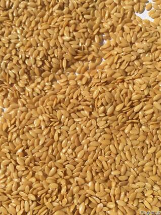Manufacturer sells: golden confectionary flax