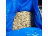 Продам орех грецкий оптом Nuts 1/2, 1/4, Mix. - фото 2