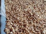 Продаём грецкий орех от тонны - photo 2