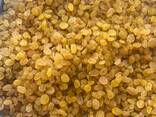 Raisins Golden Kalifar - photo 3