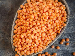 Red lentils
