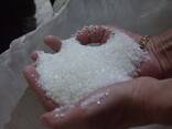 Refined White Sugar   - photo 1