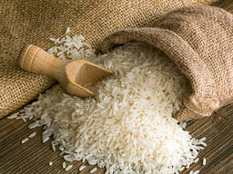 Rice