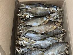 Рыба вяленая опт