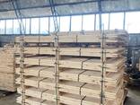 Sell stakes, Cundy Peeled from birch, pine etc. - фото 5