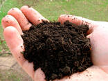 Sour peat for blueberries wholesale 250 liters - photo 1