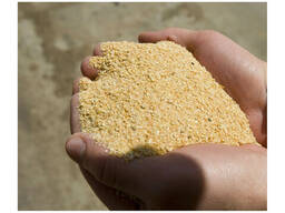 Soyabean Meal Best Quality/Soybean Meal New Product Non Gmo Soybean Soya bean Meal For Ani