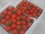Strawberry, tomato - фото 2
