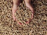 Wood Pellets - photo 1