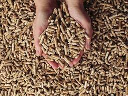 Wood Pellets
