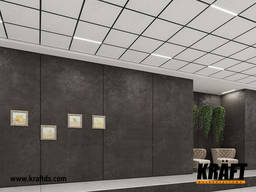 Suspended ceiling on T-profile from the manufacturer (Ukraine)