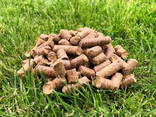 Wood Pellets Biomass Fuel From Sapin