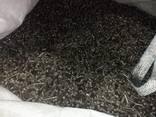 Fuel pellets unauthorized - photo 1