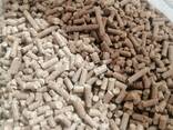 Fuel pellets unauthorized - photo 2