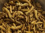 Turmeric from Vietnam - photo 3
