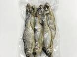 Dried roach - photo 2