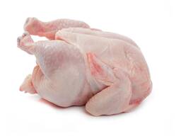 Wholesale Prices Whole Frozen Halal Chicken