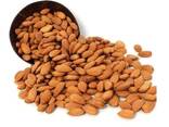 Wholesale Raw Almond Nuts | Sweet California Almonds - photo 1