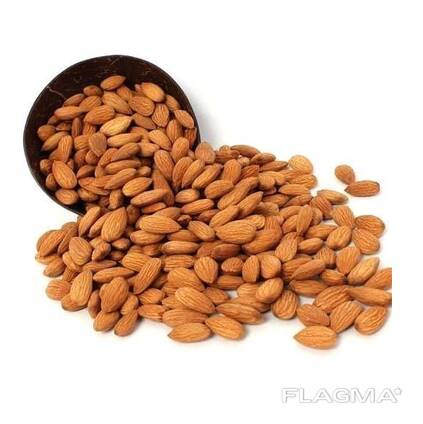 Wholesale Raw Almond Nuts | Sweet California Almonds