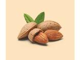 Wholesale Raw Almond Nuts | Sweet California Almonds - photo 5