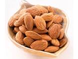 Wholesale Raw Almond Nuts | Sweet California Almonds - photo 6
