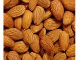 Wholesale Raw Almond Nuts | Sweet California Almonds - photo 7