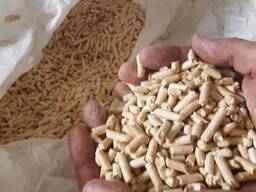 Wood chips and wood pellets for sale at very good price rates