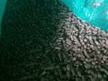 Wood pellets - photo 1