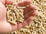 Wood pellets poland wood pellet manufacturers wooden pellet - фото 1