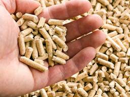 Wood pellets poland wood pellet manufacturers wooden pellet